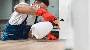 Best Termite Inspection and Treatment  in South Bay, FL